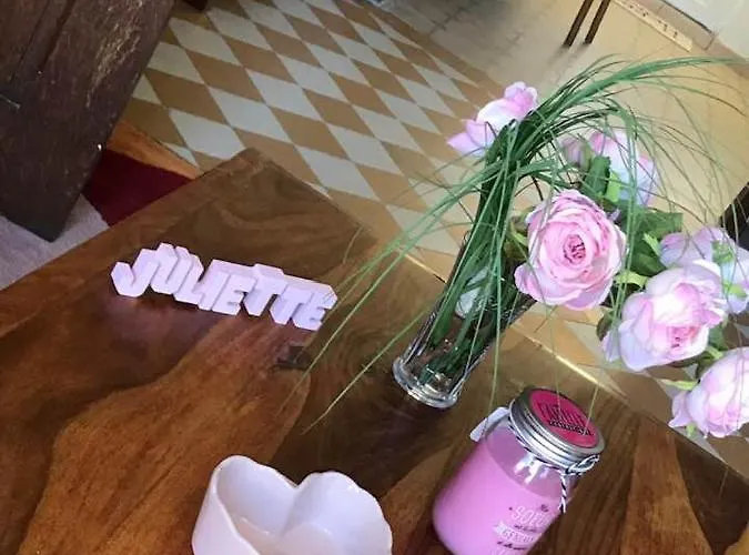 Juliette Dans La Baie Du Mont-saint-michel