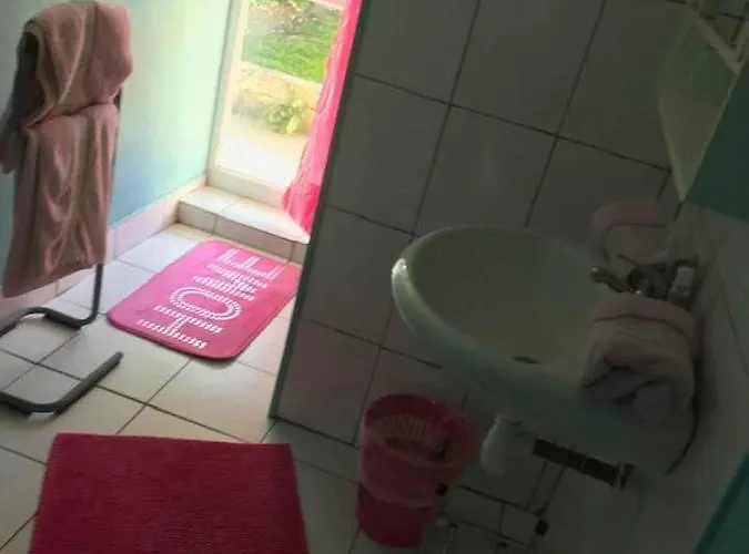 Juliette Dans La Baie Du Mont-saint-michel * Saint-Jean-le-Thomas